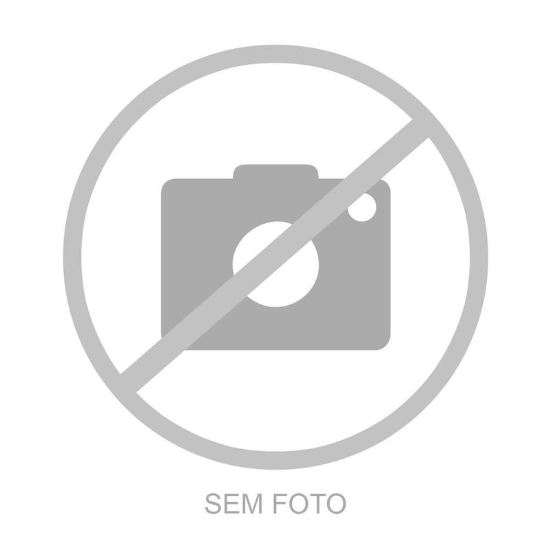 CAMINHAO DAF DAF XF FT 530